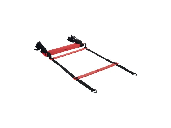 dinichance5015540